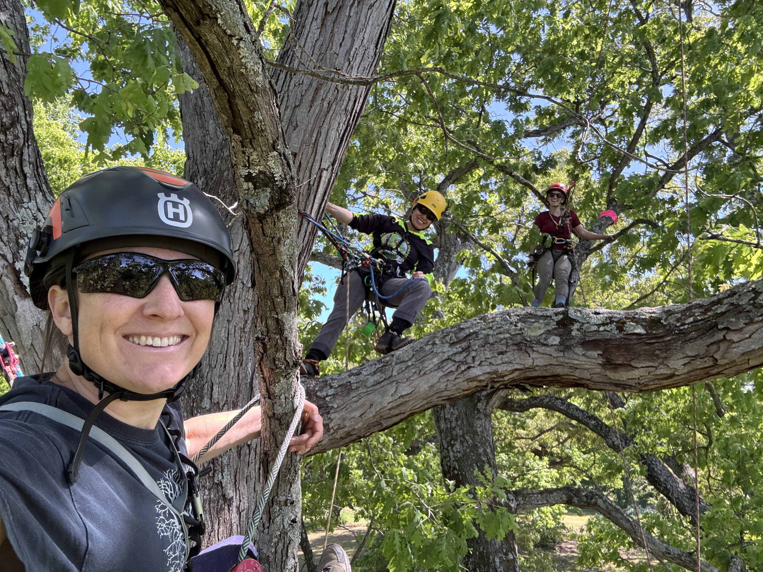 Professional Climbing Course