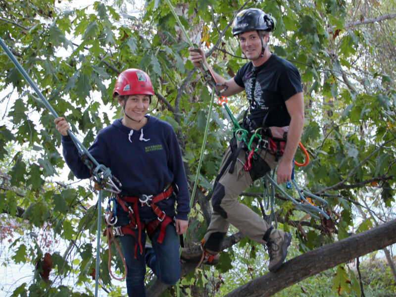 Professional Tree Climbing